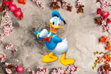 Donald Duck